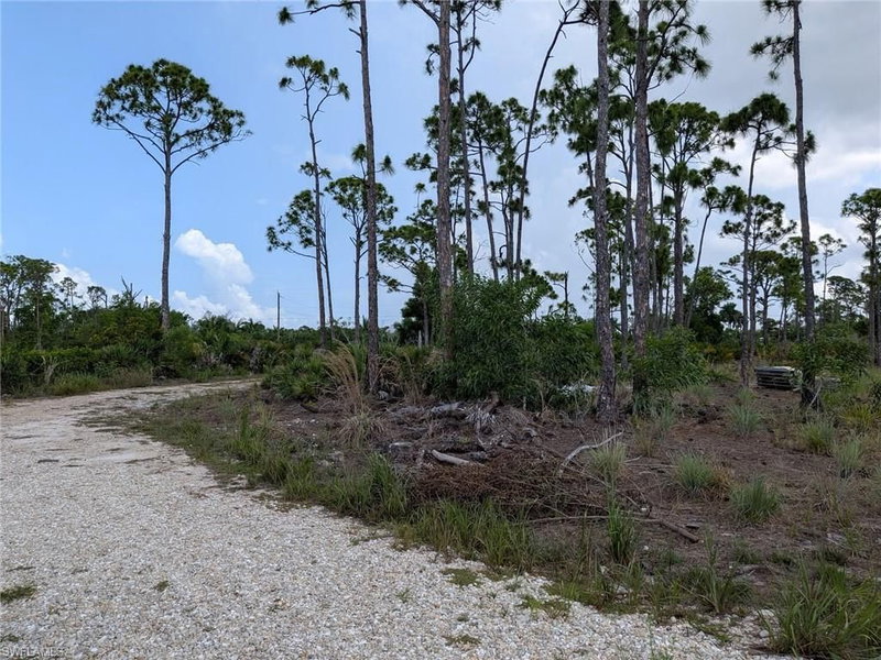 4159 Sunshine BLVD photo 4