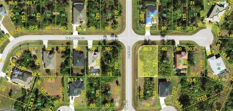 147 Yellow Pine DR photo 5