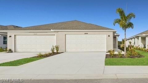 20517 Hazelnut CT S photo 1