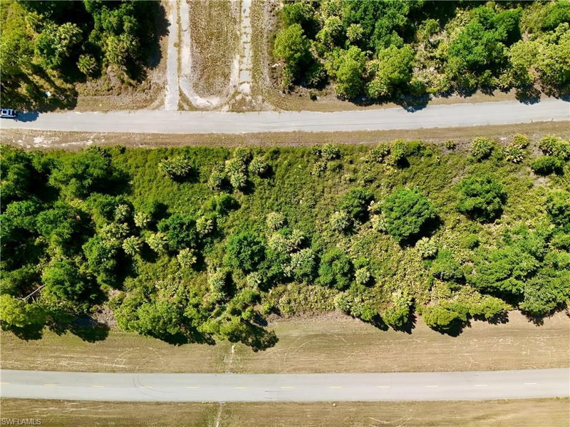Custer CIR photo 3
