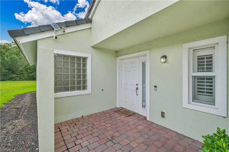 15139 Ligustrum LN photo 3