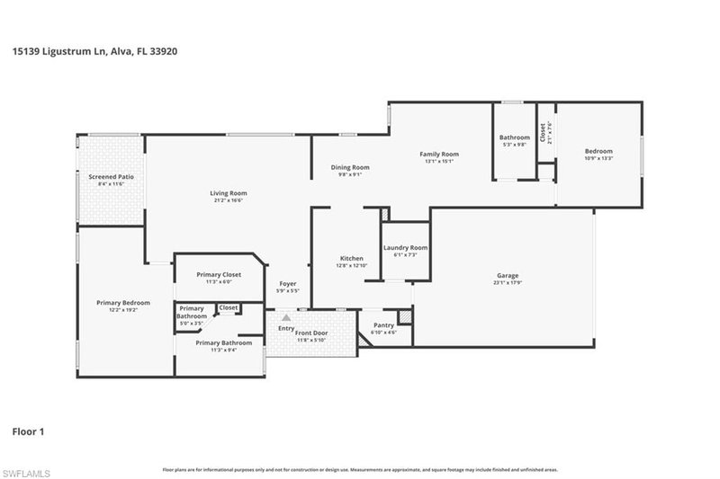 15139 Ligustrum LN photo 4