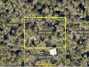 Redfish DR photo 1