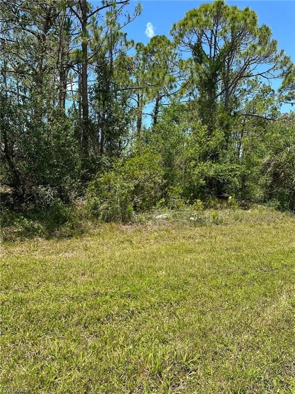 65 Biscayne DR photo 1