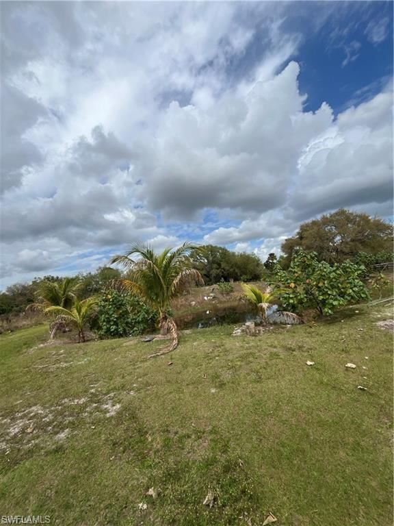 17181 Katydid LN photo 1