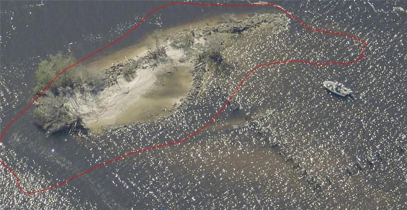 Little Shell Island photo 3