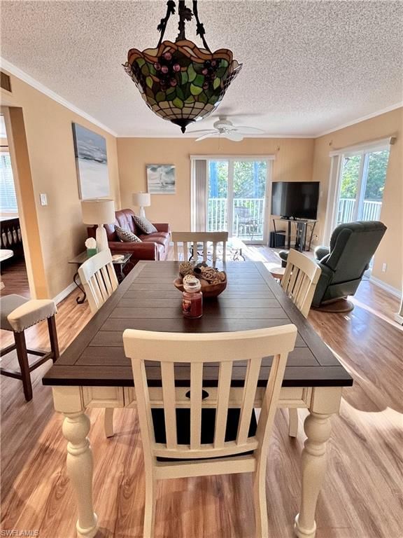 256 Palm DR photo 4