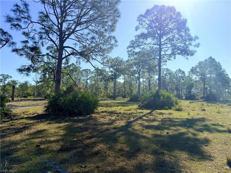 21151 Hidden Woods TRL photo 5