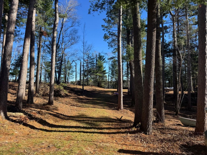 12745 Ecton Trail - Photo 25