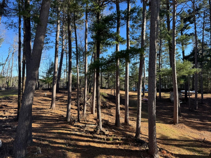 12745 Ecton Trail - Photo 26