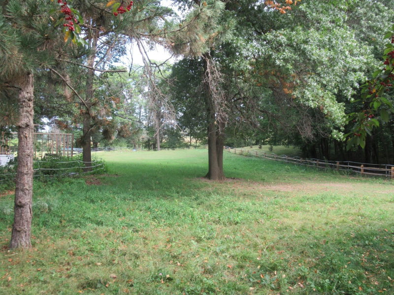 17295 Ward Lake Drive NW - Photo 27