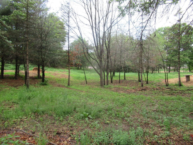 17295 Ward Lake Drive NW - Photo 35