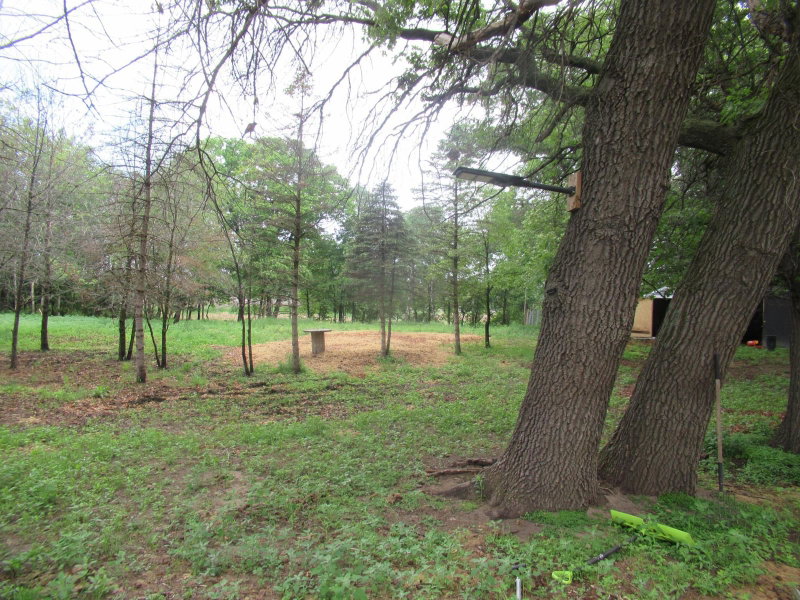 17295 Ward Lake Drive NW - Photo 36