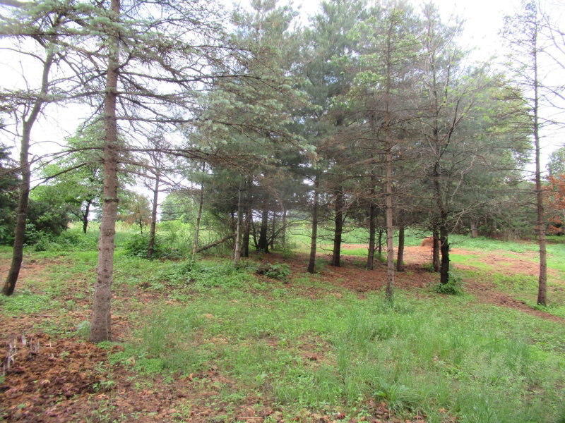 17295 Ward Lake Drive NW - Photo 37