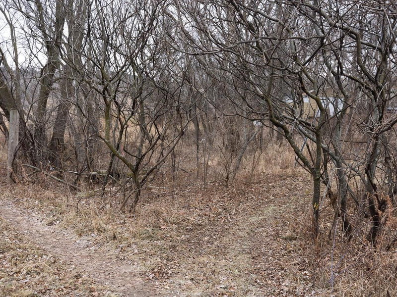 xxx Scandia Trail N - Photo 24