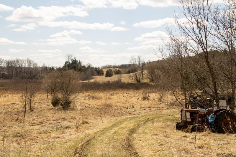 xxx Scandia Trail N - Photo 6