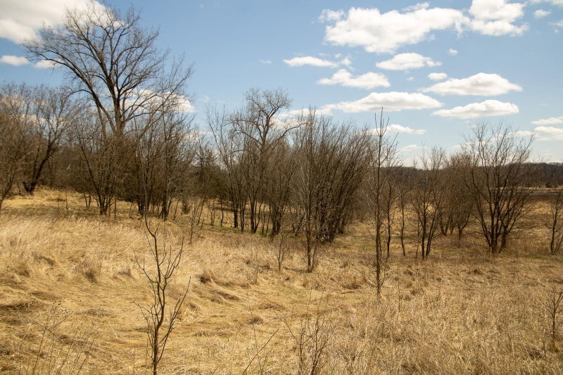 xxx Scandia Trail N - Photo 7