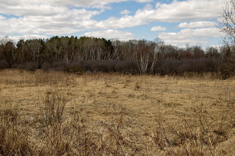 xxx Scandia Trail N - Photo 8
