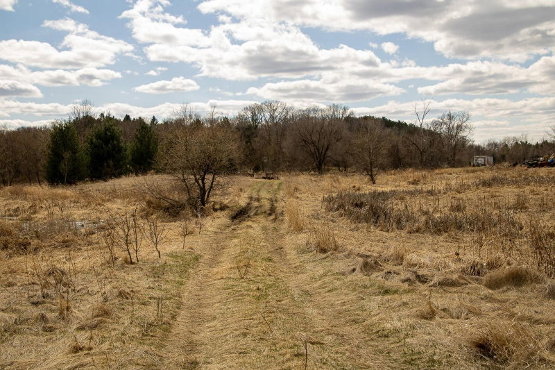 xxx Scandia Trail N - Photo 9