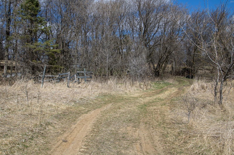 xxx Scandia Trail N - Photo 10