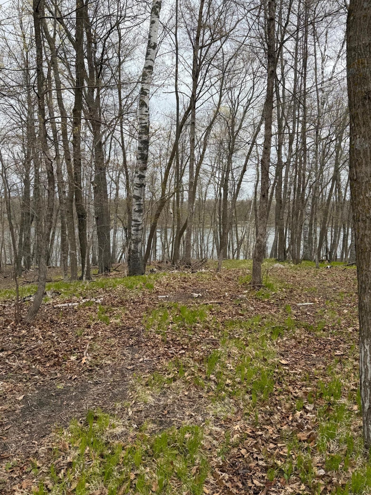 LOT 7 SW Pickerel Lake Road