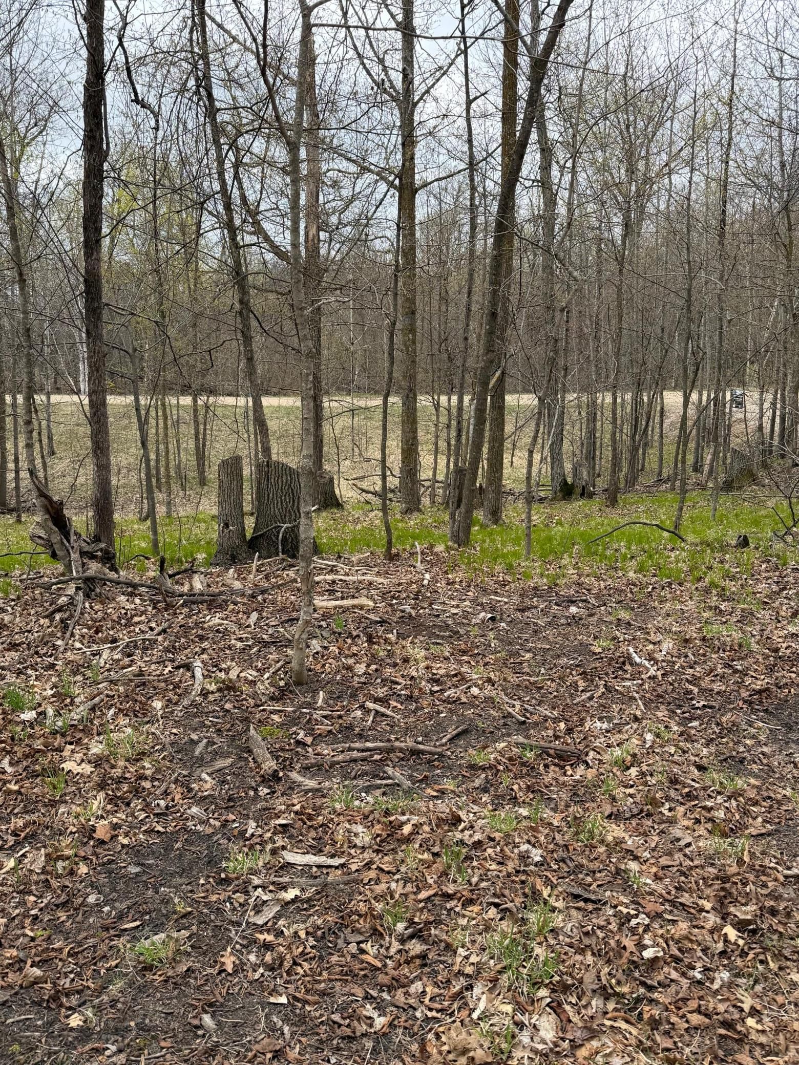 LOT 7 SW Pickerel Lake Road