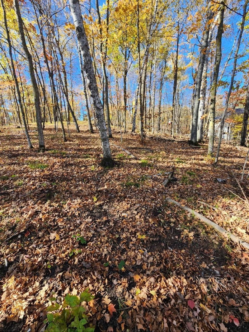 LOT 7 SW Pickerel Lake Road - Photo 8