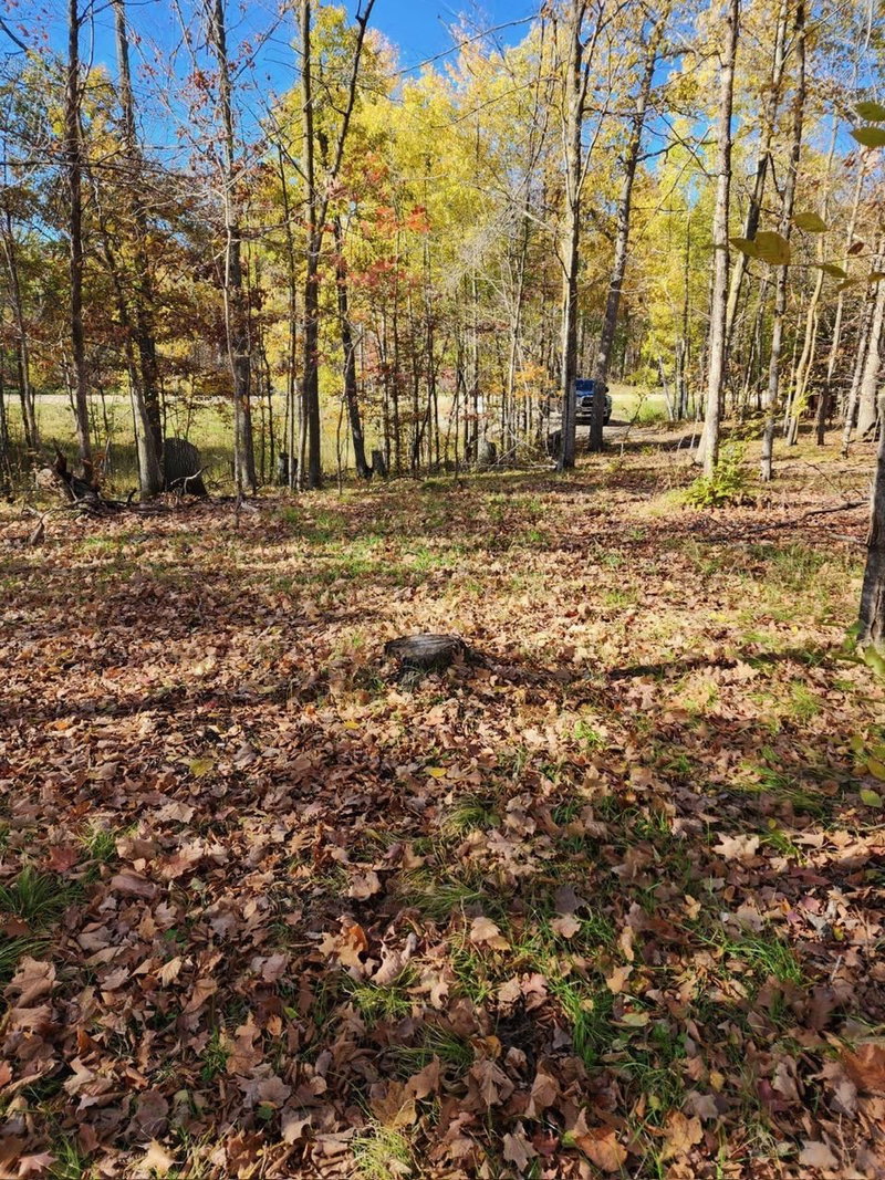 LOT 7 SW Pickerel Lake Road - Photo 9