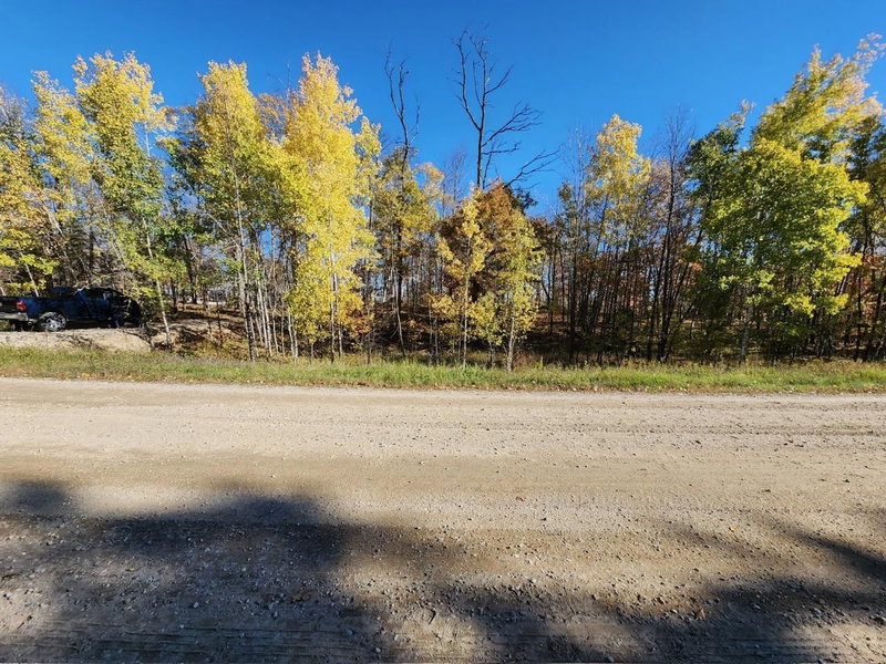 LOT 7 SW Pickerel Lake Road - Photo 10
