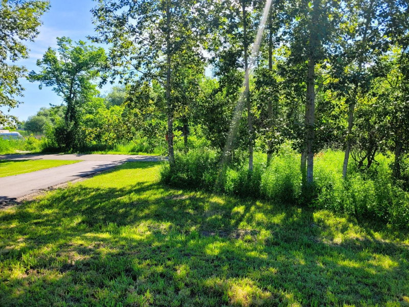 Lots 5 & 6 Branch Creek Road - Photo 20