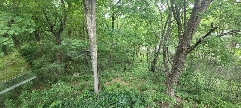 4893x Woodhurst Lane Ln - Photo 6