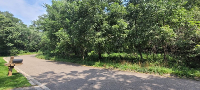 4893x Woodhurst Lane Ln - Photo 7