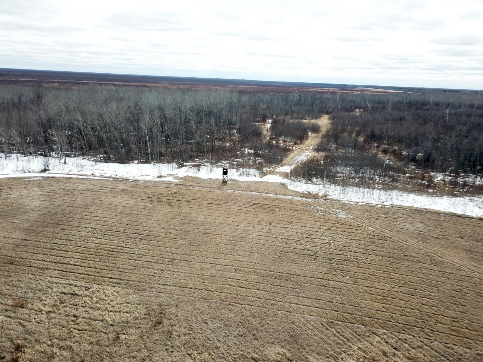 3228 County Road 1 SW