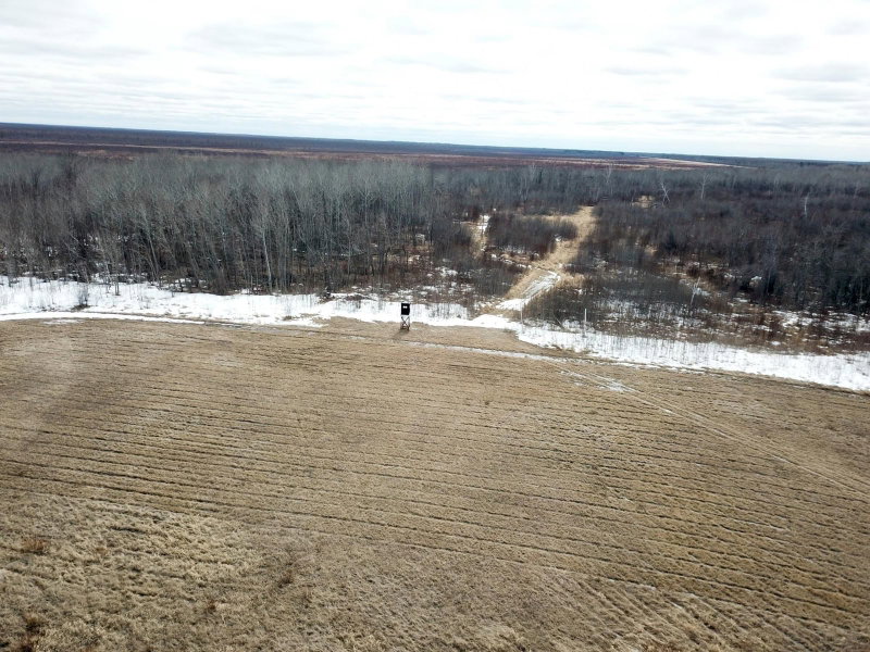3228 County Road 1 SW - Photo 5