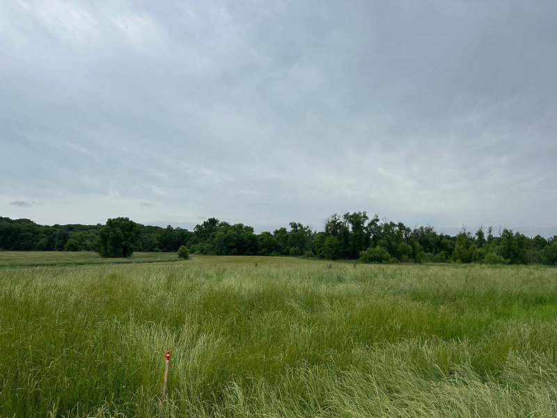 2535 Pioneer Trail - Photo 26