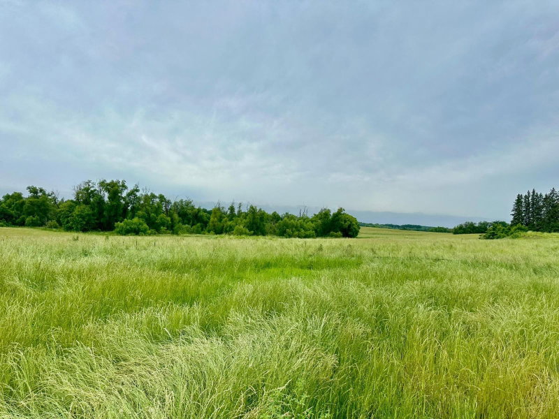 2535 Pioneer Trail - Photo 27