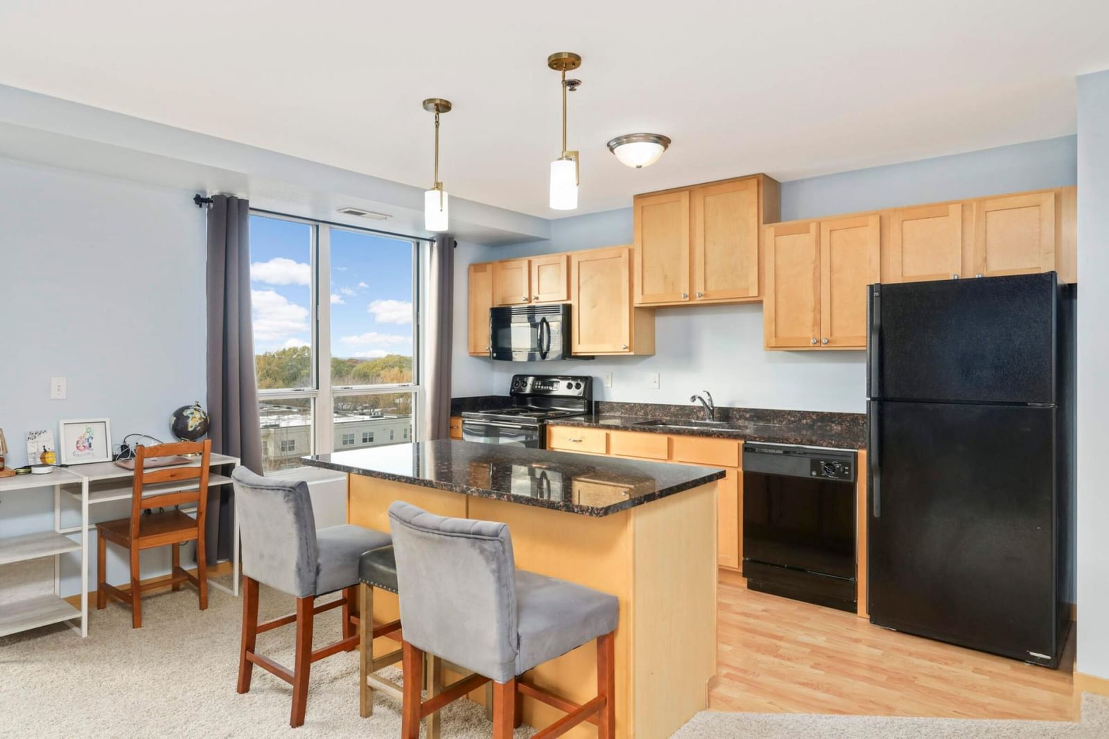 1502 5th Street N #702