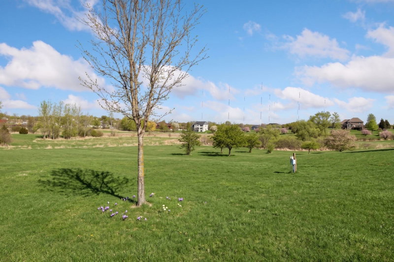 20951 Prairie Hills Lane - Photo 10