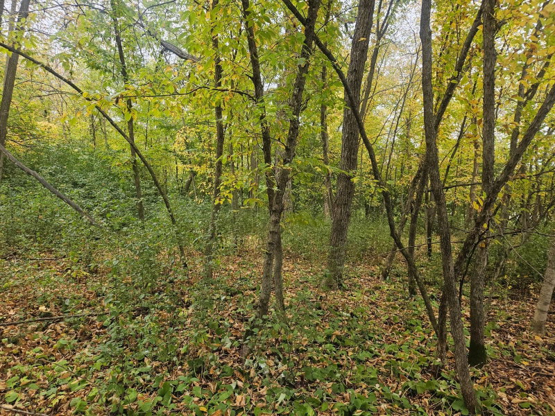 1077 S Shore Drive - Photo 4