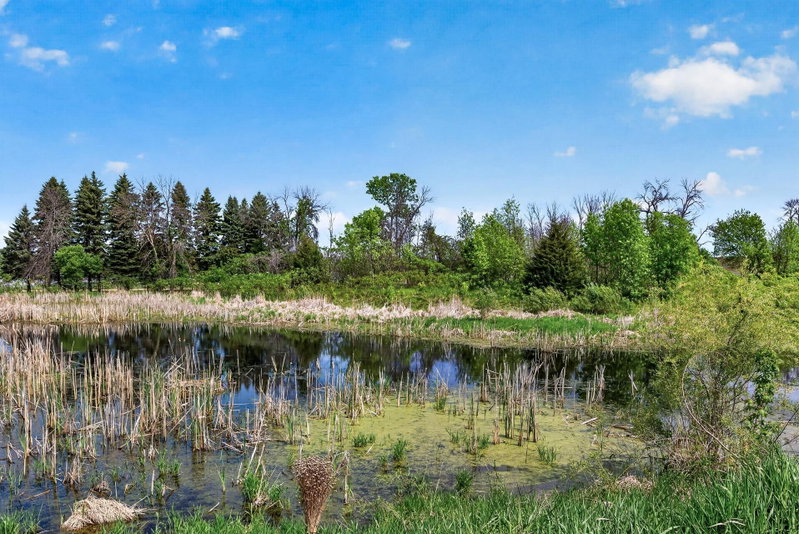 21203 Pinto Place - Photo 22