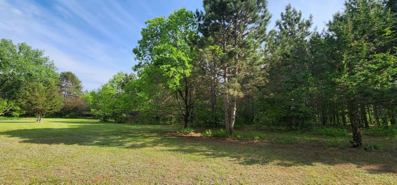 28629 Potomac Street NE - Photo 36
