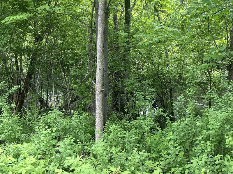 11344 Elk Lane NW - Photo 20