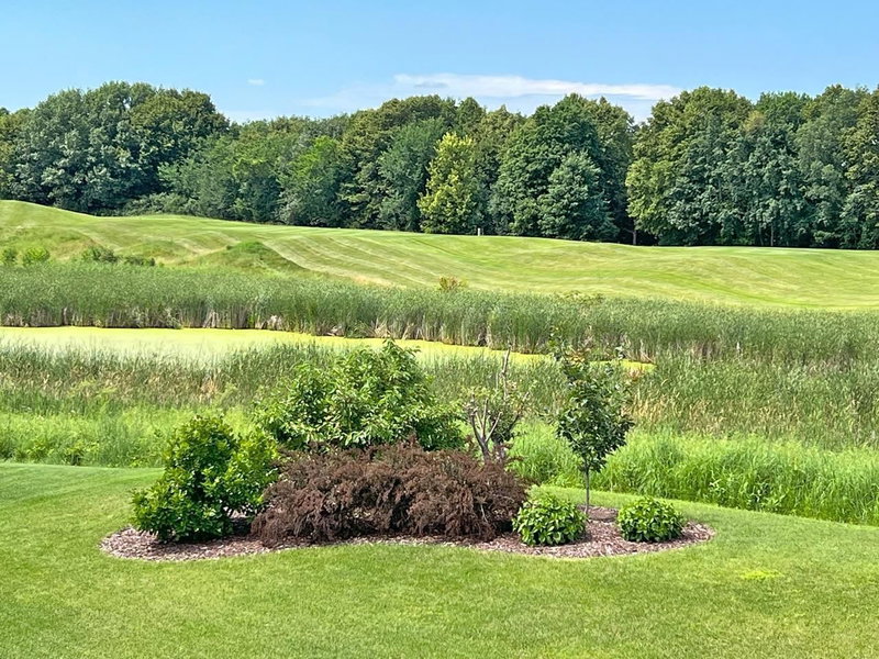 2996 Fairway Drive - Photo 53