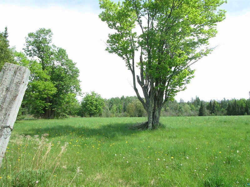 4606 Maki Road - Photo 11