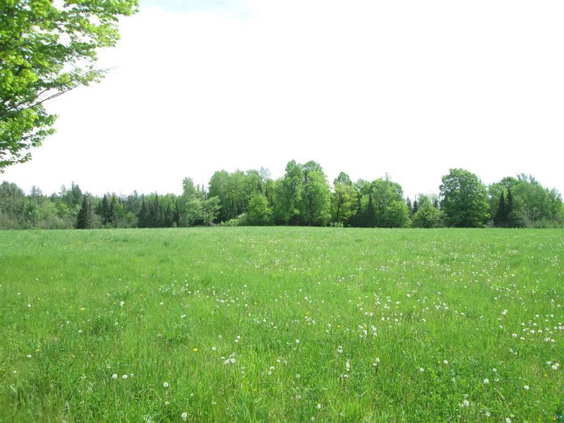 4606 Maki Road - Photo 12