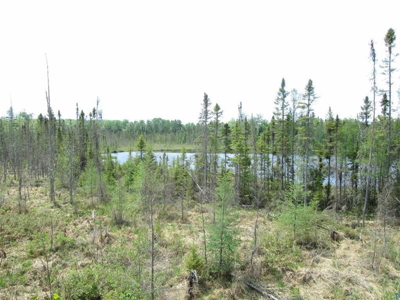 4606 Maki Road - Photo 13