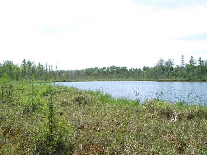 4606 Maki Road - Photo 17