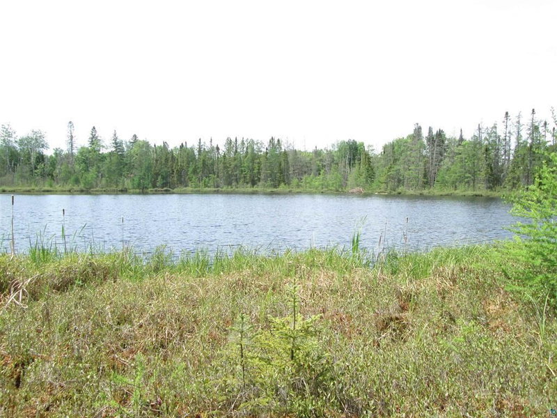 4606 Maki Road - Photo 18