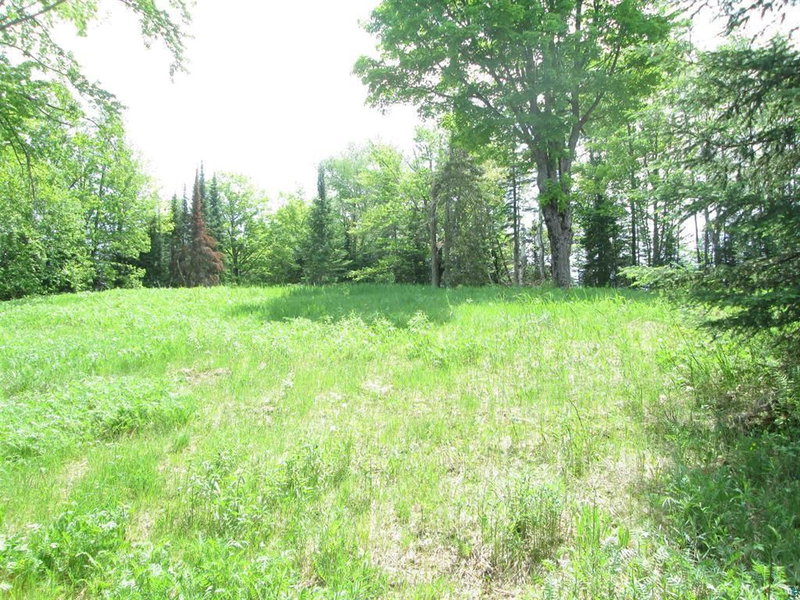4606 Maki Road - Photo 23