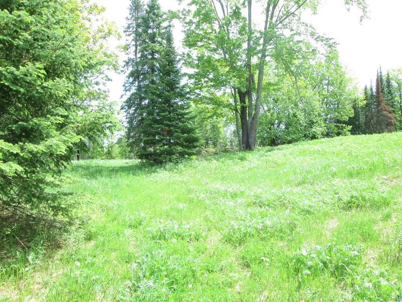 4606 Maki Road - Photo 24